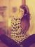 Menna Emad