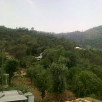 Attia Awan