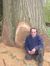 Mike Airey
