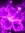 Violet Petunia (violetpetunia) | 38 comments