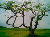 Ridwanullah Ibrohiim