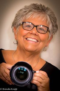 Brenda Knipp