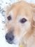 Nancy O...