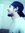 Areeb N...