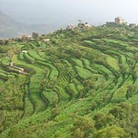 يونس السماوي