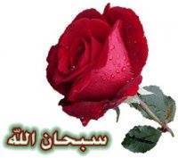 Reem Obeisi