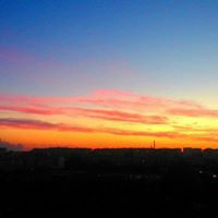 Елена Чепурная