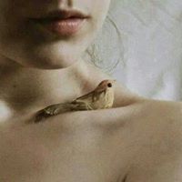 وجہوه قہمہرية