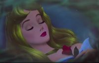 أزهار المساء