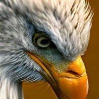 ىبعدقلبى يكفى