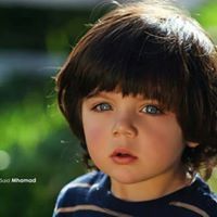Ahmed Hany