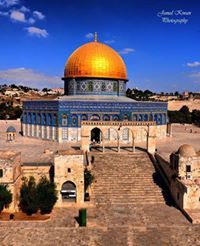 احمد ابو الهيجاء