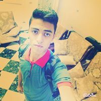Walid Hesham