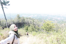 Annisa D