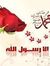 يوسف عسلمي