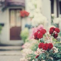 سراب الماضي