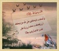 الجنة موعدنا