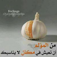 ياسين العراقي