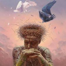 |نور أبو الهيش