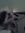 Donna C...