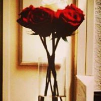 فواز زين الدين