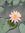 Vatsala | 12 comments