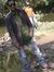Piyush ...