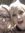 member photo member photo