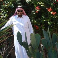 يوسف السليم