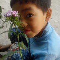 Tran An