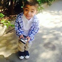 أغصان دراوشه