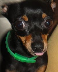 Milagro Rojas eekhout