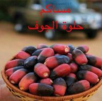 دليمان الحسن
