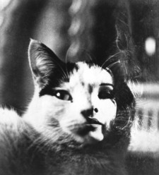 Καλλιέπουσα