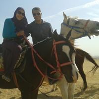 Soha El kashef