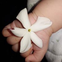 إزيز حنايشة