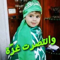 أبو خبيب