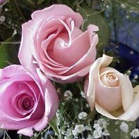 عبدالوهاب الوصابي