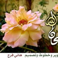 ربيع الكيلانى