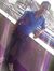 Satish ...
