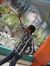 Manish ...