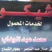 أبو أسلم المنفلوطى