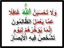 Hend Shaheen