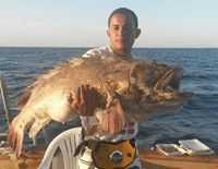 محمد الدالى