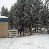 Lynette Clark confer