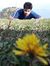 Saad Ullah