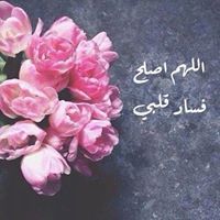 حبيبة الجنه