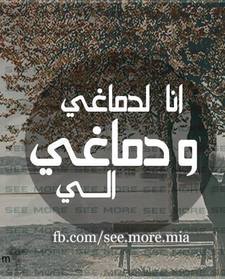 Abd Elmenem