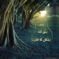 هادي العايدي