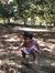 Ram Vdpm